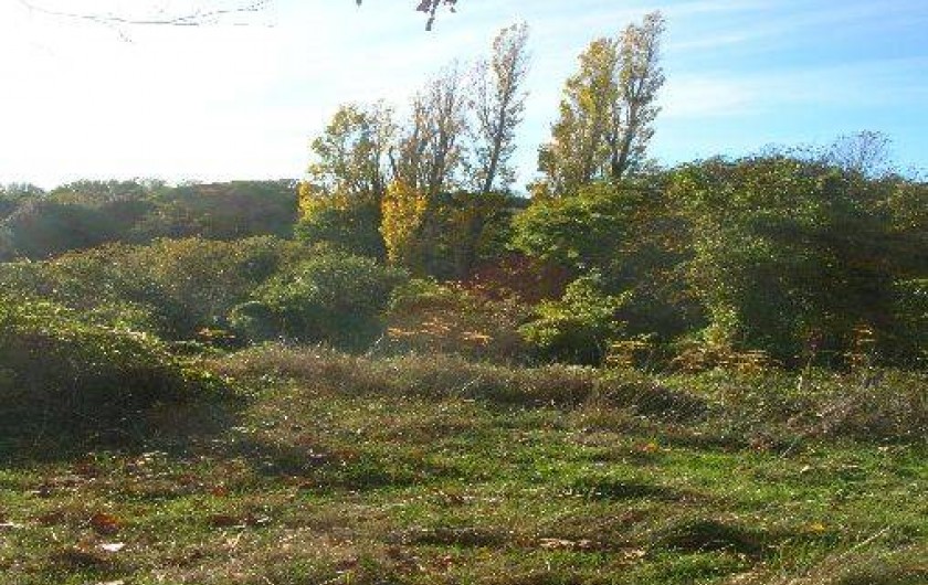 Location de vacances - Gîte à Rieussec