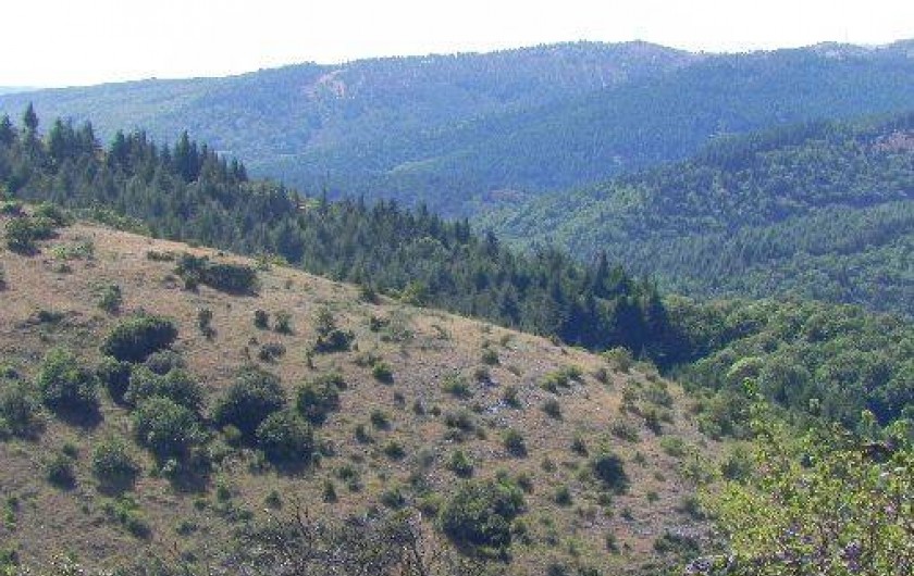 Location de vacances - Gîte à Rieussec
