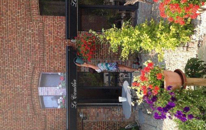 Location de vacances - Gîte à Cabourg