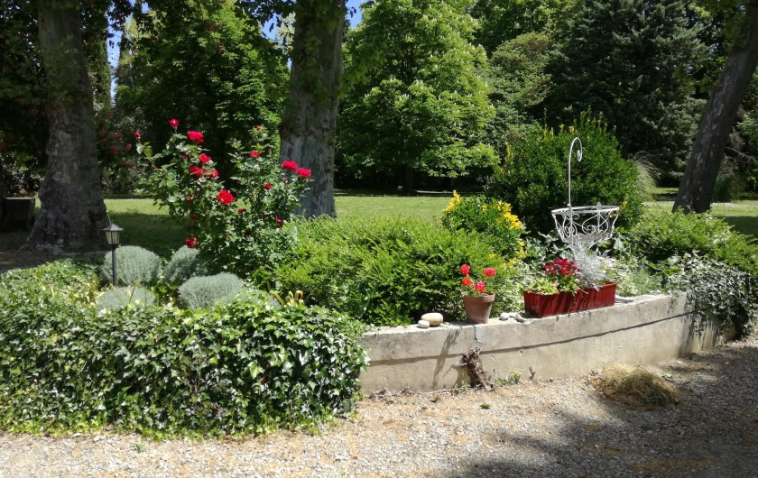 Location de vacances - Mas à Loupia - Le parc au printemps