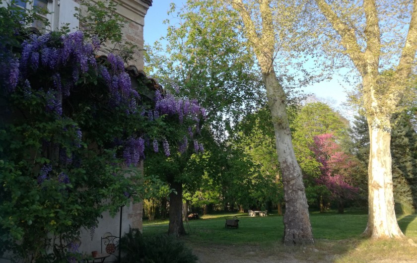 Location de vacances - Mas à Loupia - Le parc