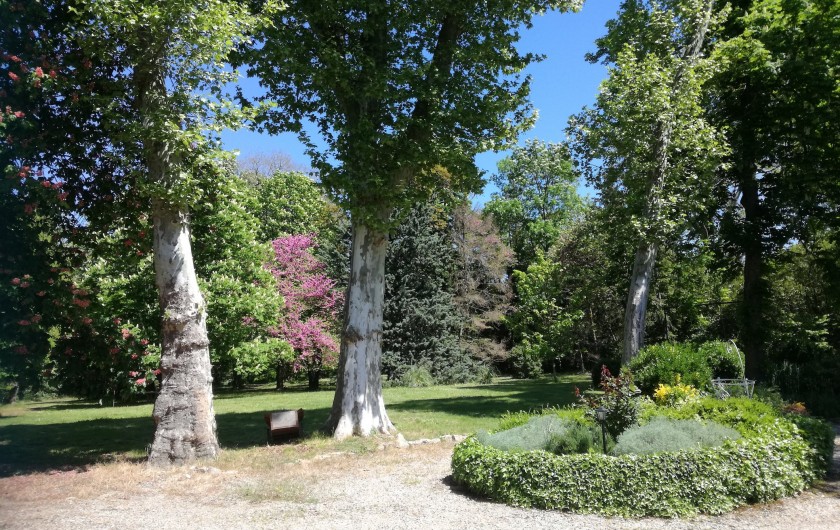 Location de vacances - Mas à Loupia - Le parc