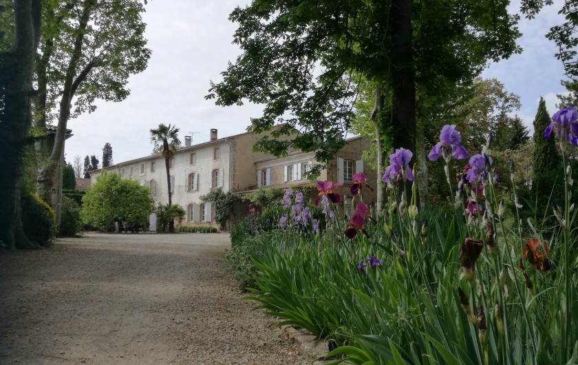 Location de vacances - Mas à Loupia - L'entrée du domaine