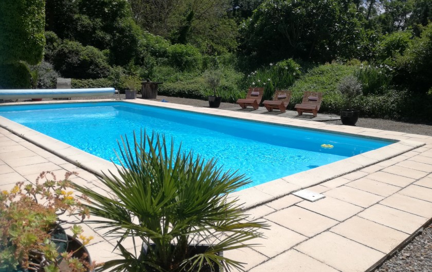 Location de vacances - Mas à Loupia - La piscine