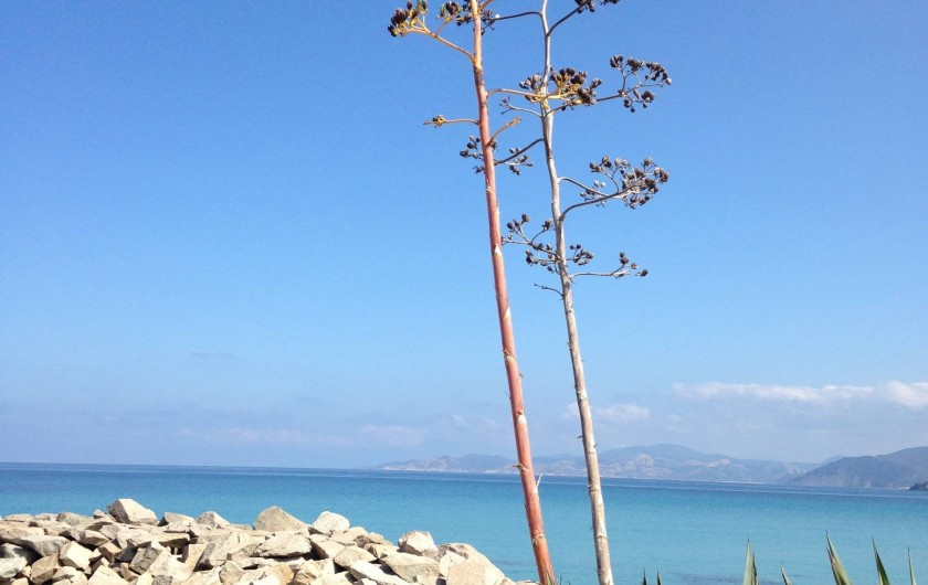 Location de vacances - Appartement à L'Île-Rousse - Environnement à 50 mètres de l'appartement
