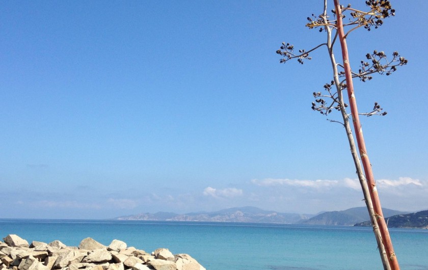 Location de vacances - Appartement à L'Île-Rousse - et grande plage de sable à proximité immédiate!