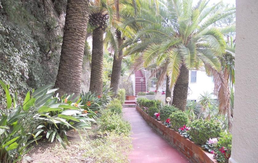Location de vacances - Appartement à Ospedaletti - jardin de la maison