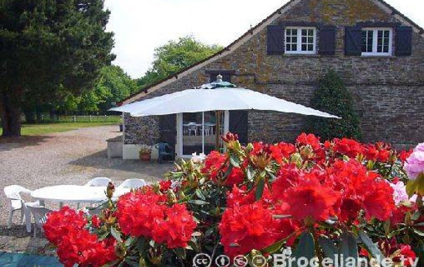 Location de vacances - Gîte à Iffendic