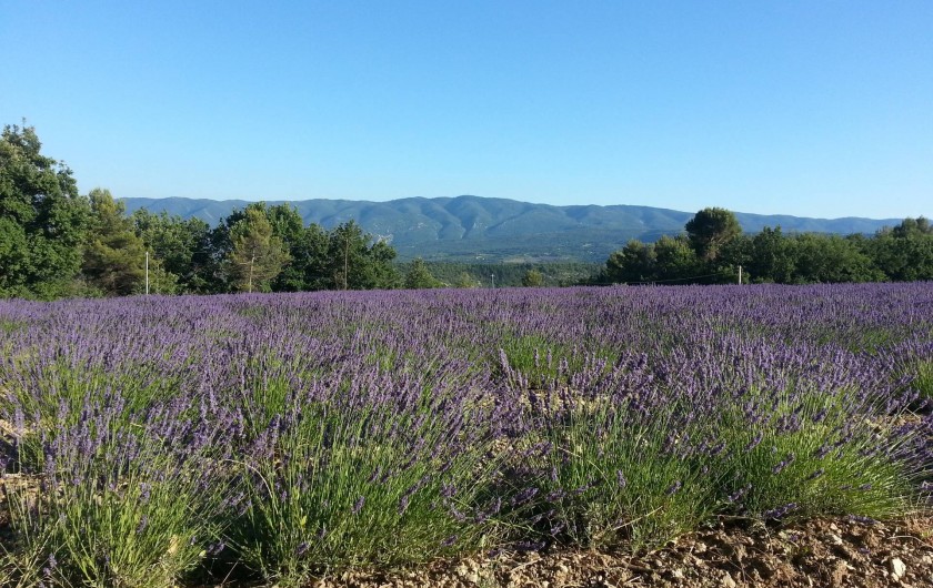 Location de vacances - Gîte à Caseneuve