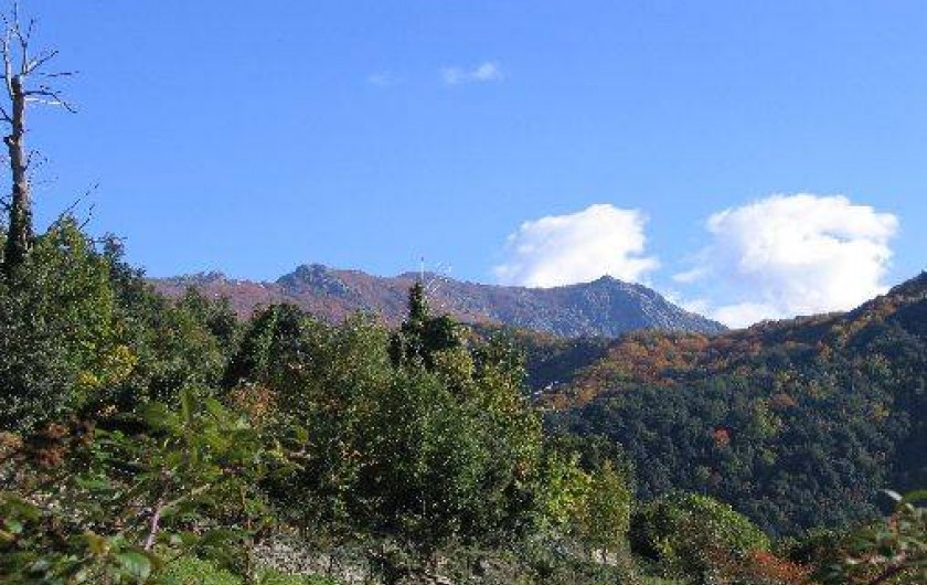 Location de vacances - Studio à Cambia