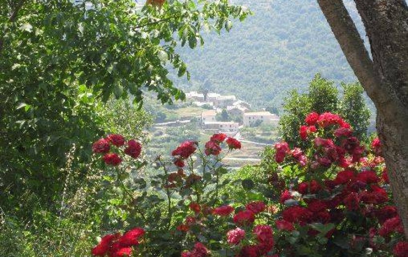 Location de vacances - Studio à Cambia