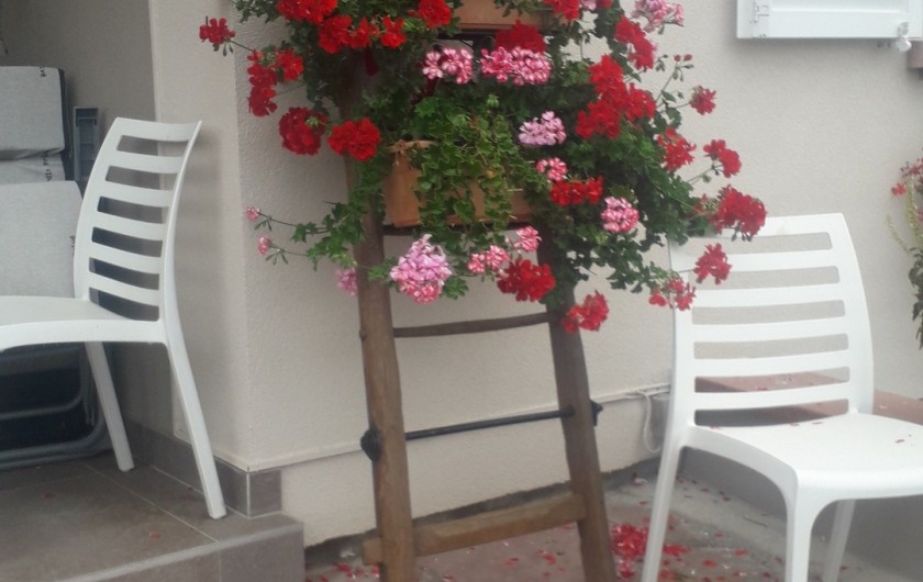 Location de vacances - Chambre d'hôtes à Eguisheim - Extérieur fleuri