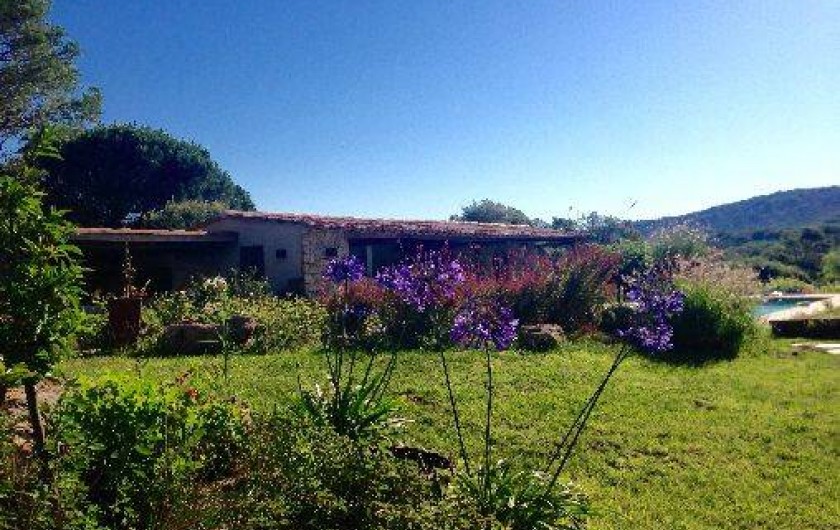Location de vacances - Villa à Porto-Vecchio