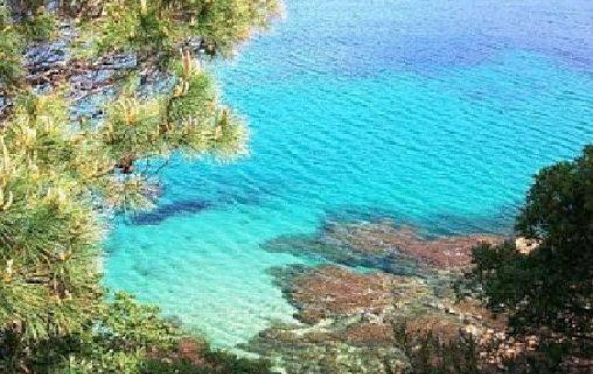 Location de vacances - Appartement à Propriano