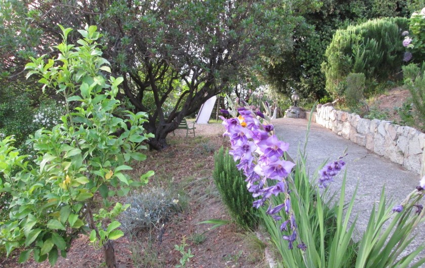 Location de vacances - Appartement à Propriano