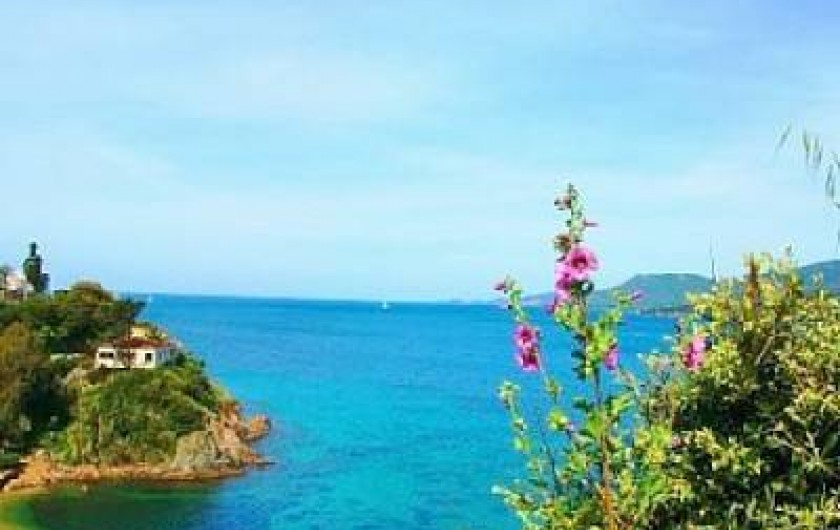 Location de vacances - Appartement à Propriano