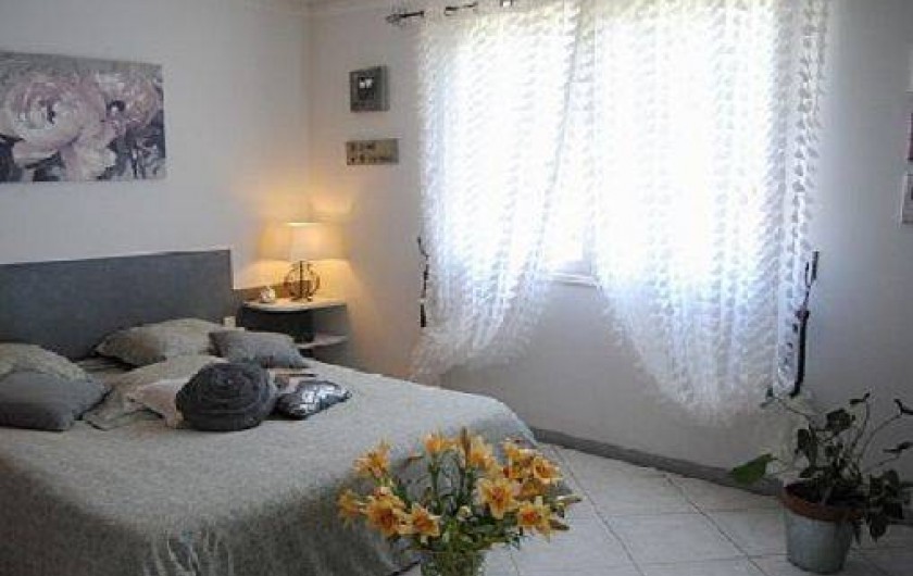 Location de vacances - Mas à Solliès-Ville