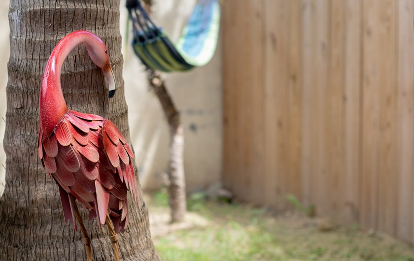 Location de vacances - Maison - Villa à Saint-Martin