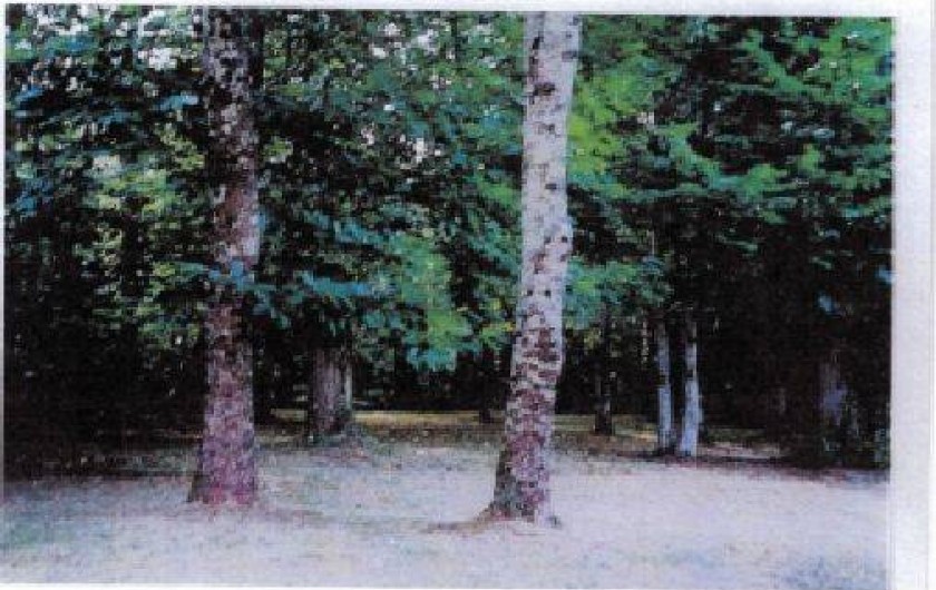 Location de vacances - Maison - Villa à Nadaillac-de-Rouge