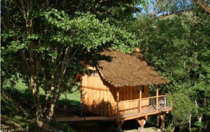 Location de vacances - Cabane dans les arbres à Freycenet-la-Cuche