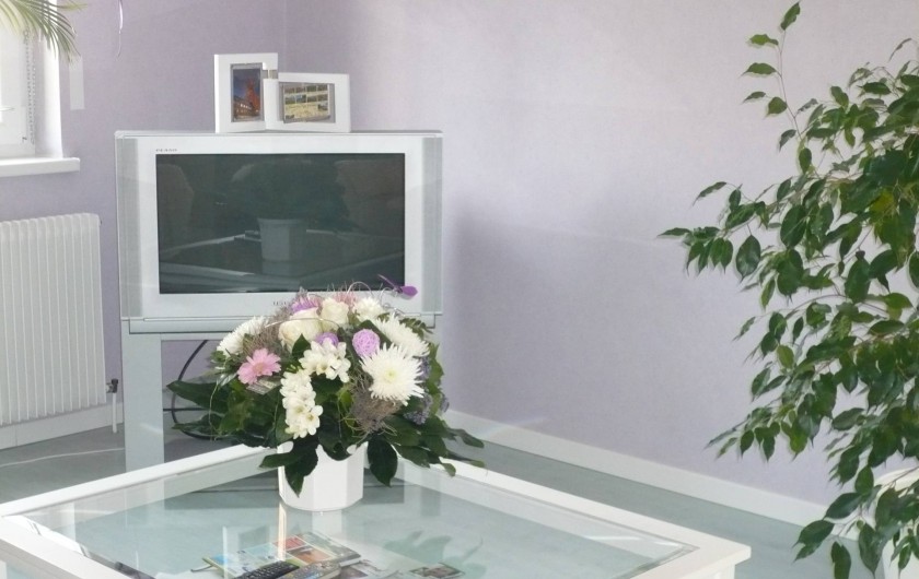 Location de vacances - Appartement à Lingolsheim