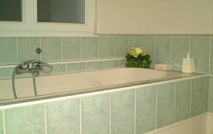 Location de vacances - Appartement à Lingolsheim - C