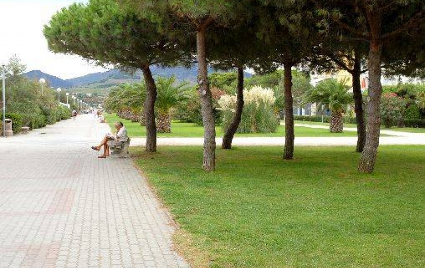Location de vacances - Appartement à Argelès-sur-Mer - La promendae