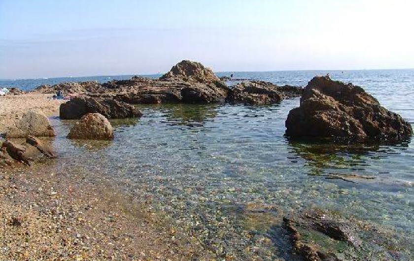 Location de vacances - Appartement à Argelès-sur-Mer - Le Racou