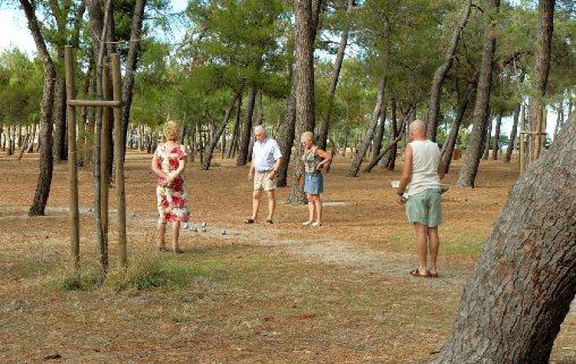 Location de vacances - Appartement à Argelès-sur-Mer - Le bois des pins