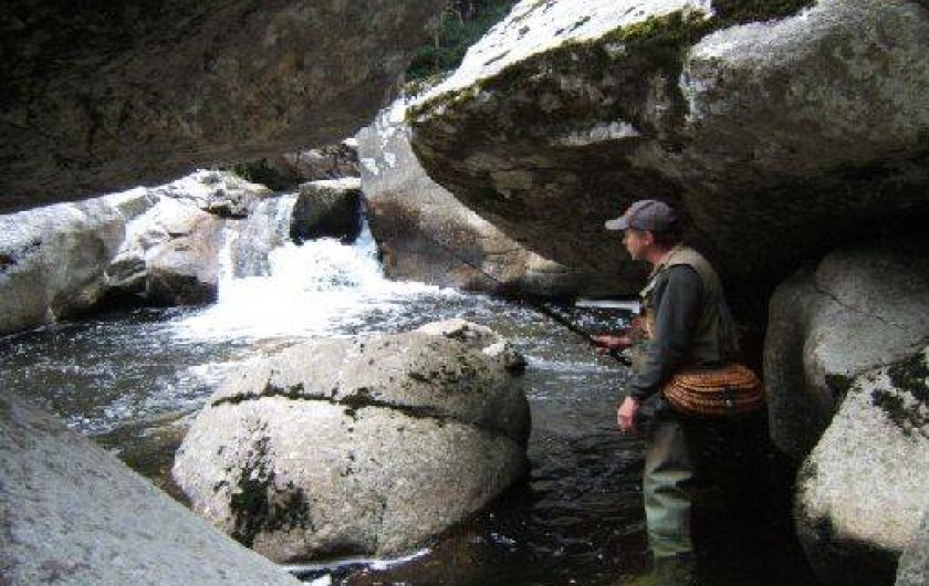 Location de vacances - Gîte à Lavastrie