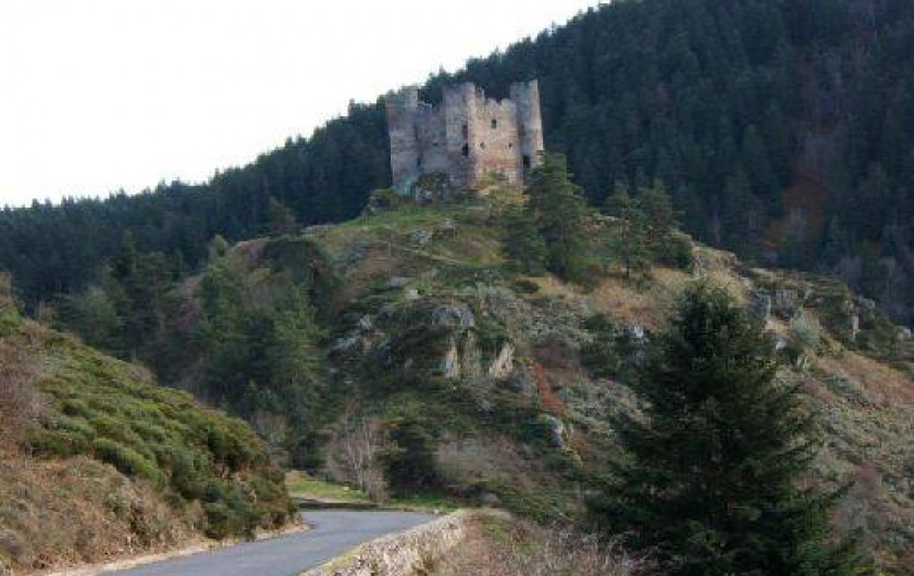 Location de vacances - Gîte à Lavastrie