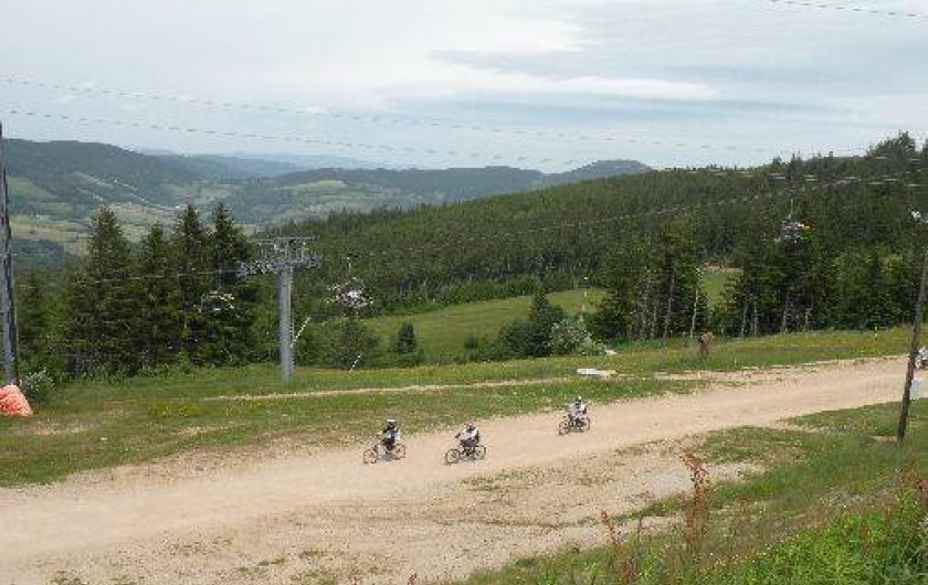 Location de vacances - Appartement à Orbey