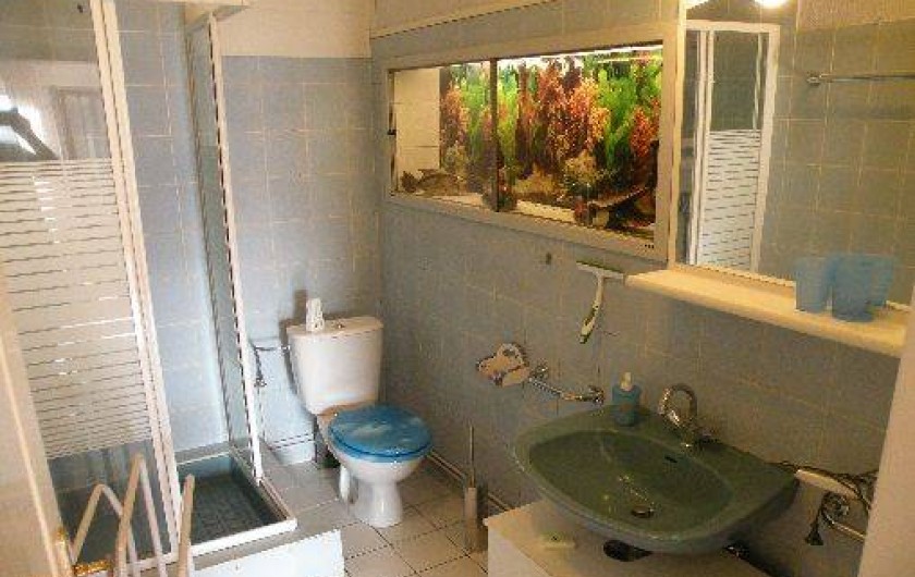 Location de vacances - Appartement à Orbey