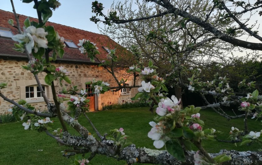 Location de vacances - Château - Manoir à Saint-Priest-Ligoure