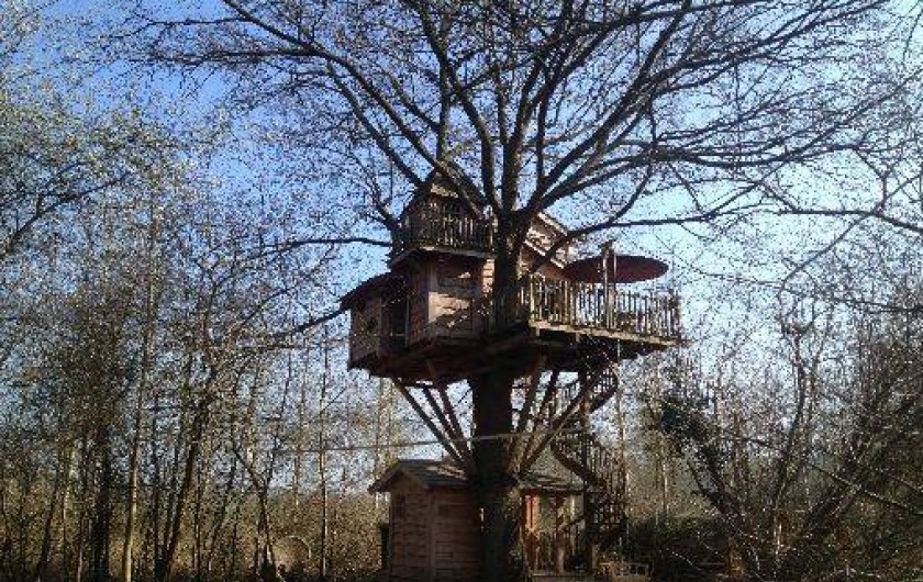Location de vacances - Cabane dans les arbres à Orly-sur-Morin