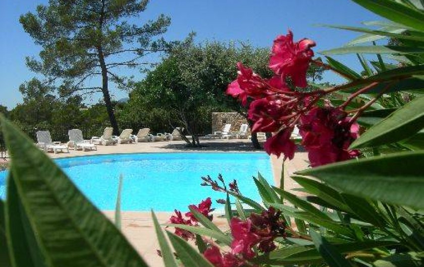Location de vacances - Gîte à Entrecasteaux - Piscine chauffée