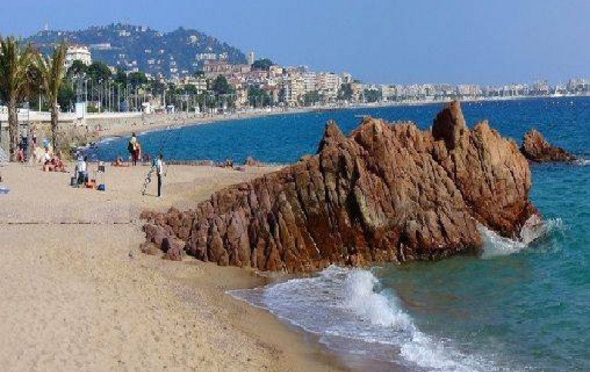 Location de vacances - Appartement à Cannes