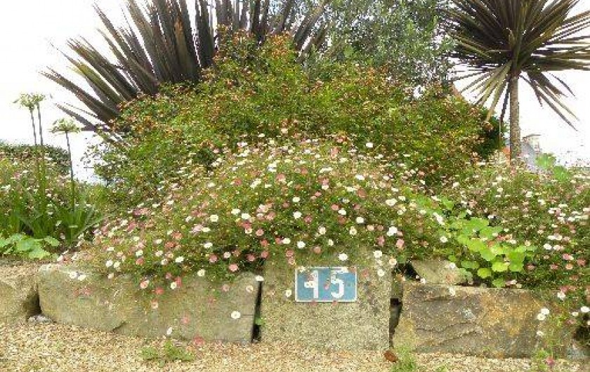 Location de vacances - Gîte à Perros-Guirec