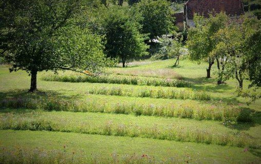Location de vacances - Gîte à Saint-Pierre-Toirac