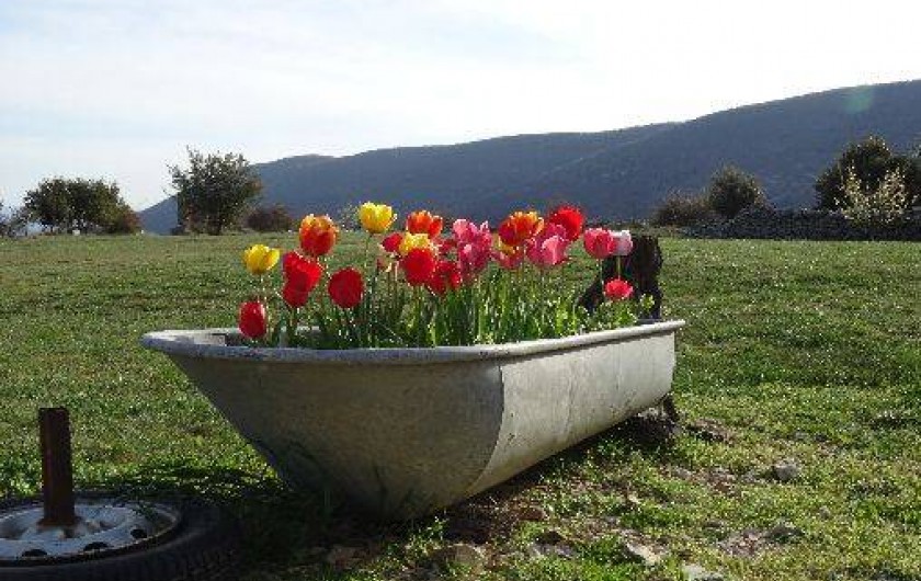 Location de vacances - Gîte à Banon