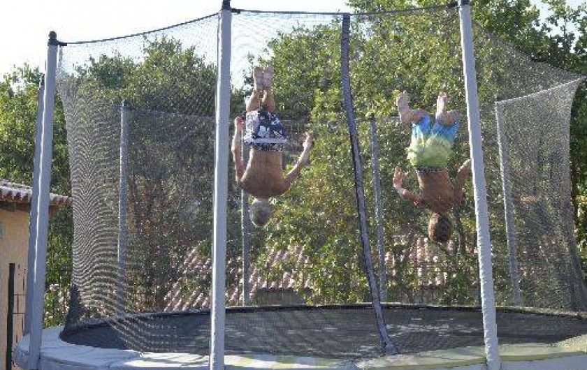 Location de vacances - Gîte à Trans-en-Provence