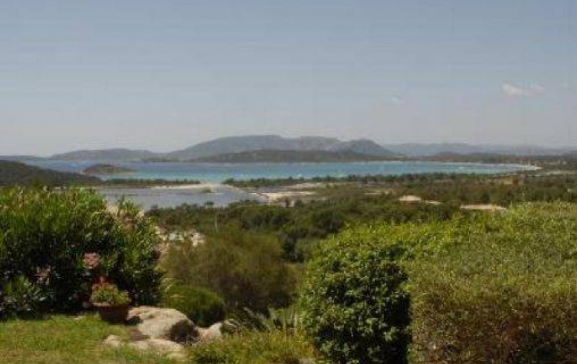 Location de vacances - Appartement à Porto-Vecchio