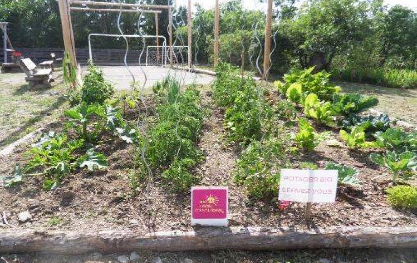 Location de vacances - Camping à Mallefougasse-Augès