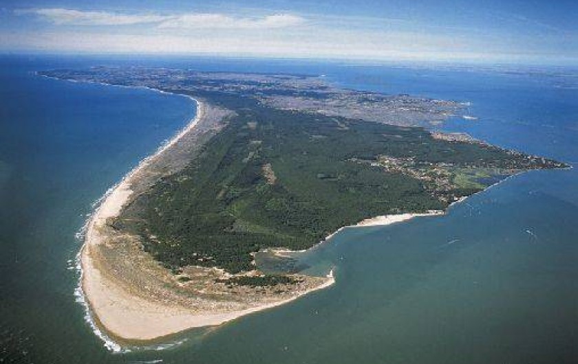 Location de vacances - Villa à Saint-Pierre-d'Oléron