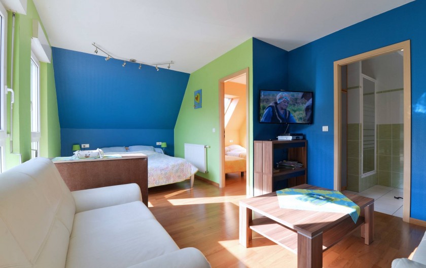 Location de vacances - Gîte à Logelheim - Chambre plus TVet coin détente
