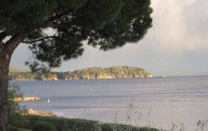 Location de vacances - Studio à La Londe-les-Maures