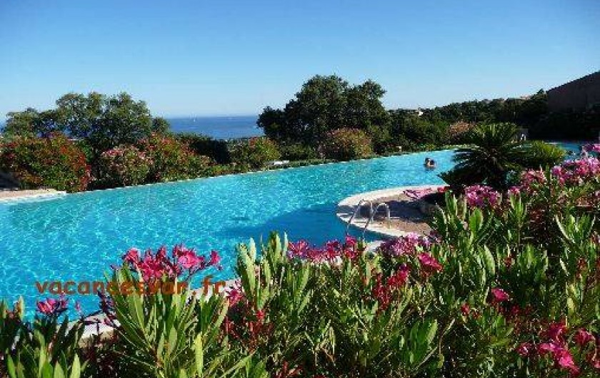 Location de vacances - Appartement à Les Issambres