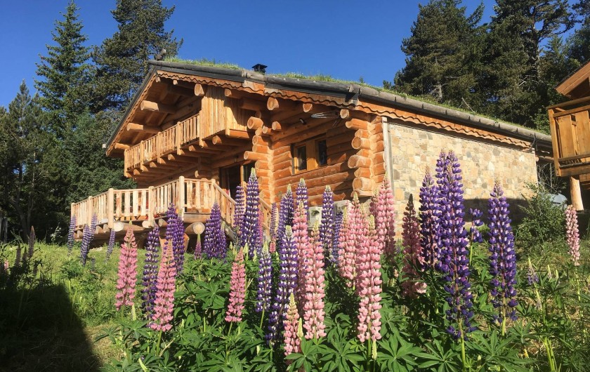 Location de vacances - Chalet à Bolquère - La face Sud du chalet en été