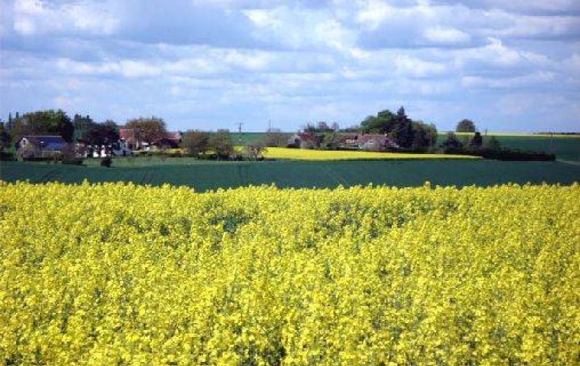 Location de vacances - Gîte à Villeloin-Coulangé