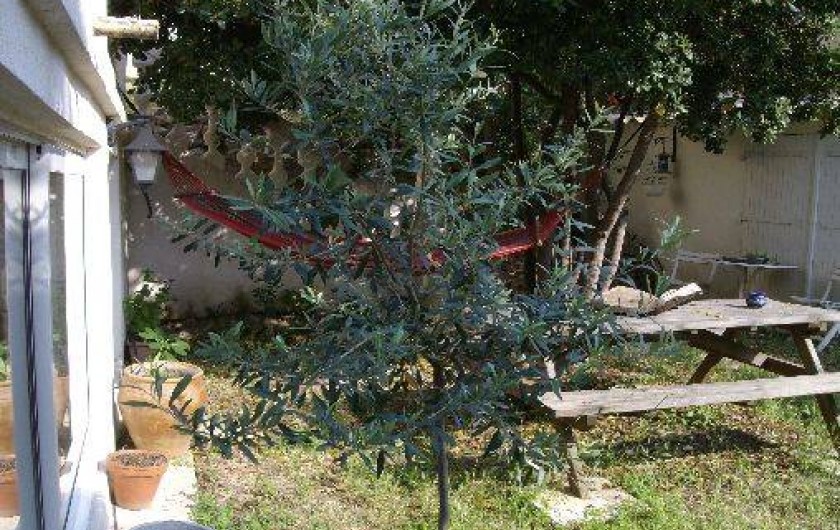 Location de vacances - Appartement à Toulon